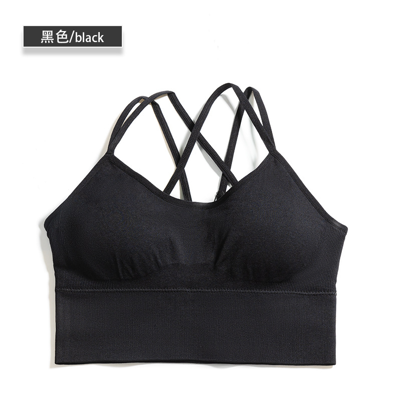 seamless sport bea solid bra 8116