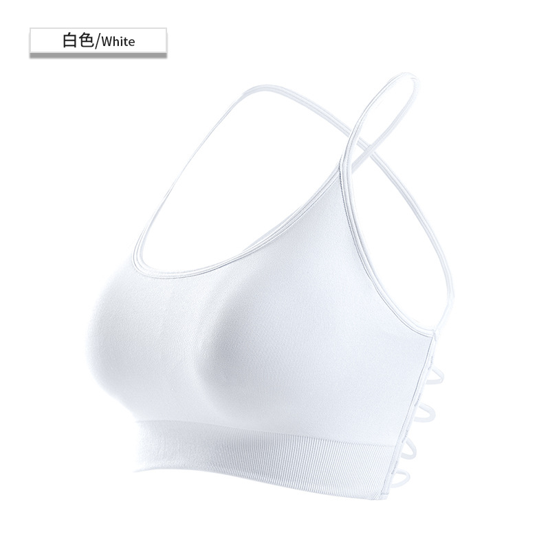 seamless sport bea solid bra 8133