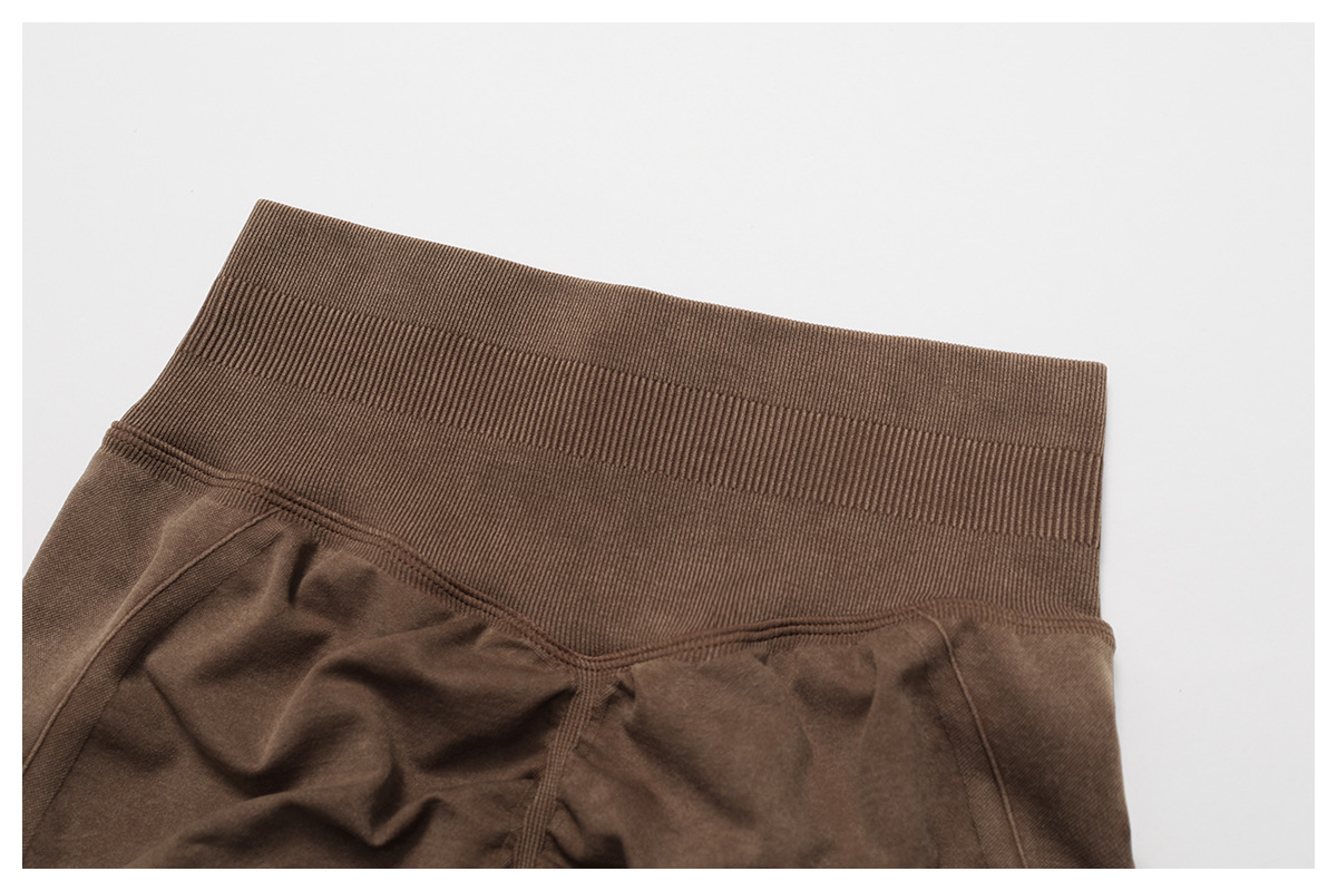 Seamless Butt - Lifting Yoga Shorts 5064