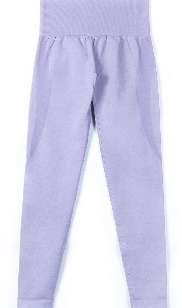 Seamless High Elasticity Butt-Lifting Yoga Pants LX8176