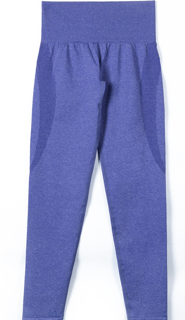 Seamless High Elasticity Butt-Lifting Yoga Pants LX8176