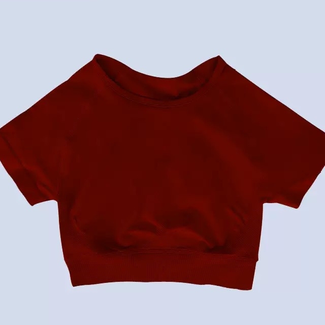 Seamless  High Elastic Yoga Top LXJ2502