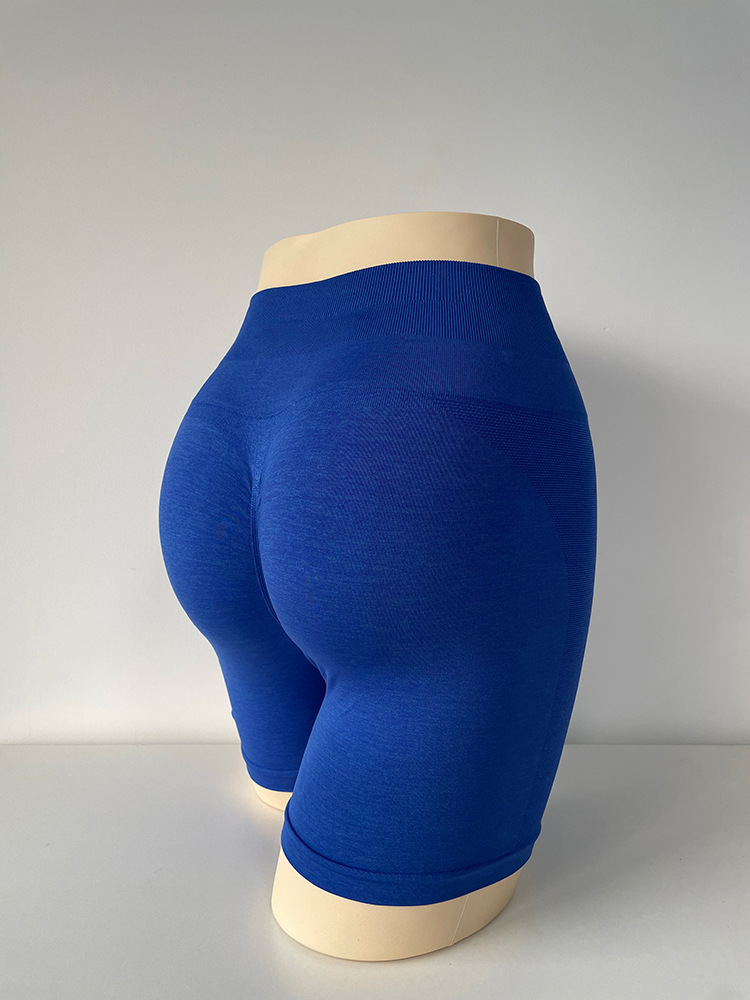 Seamless  Butt-Lifting Yoga Shorts LXBK303