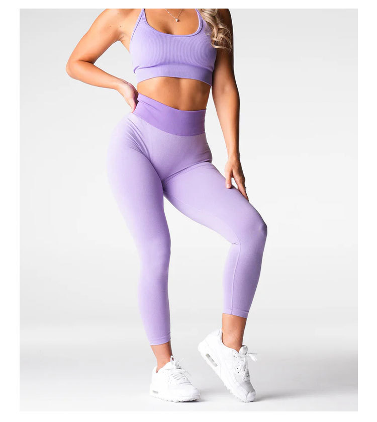 Seamless High Elasticity Butt-Lifting Yoga Pants LX8195