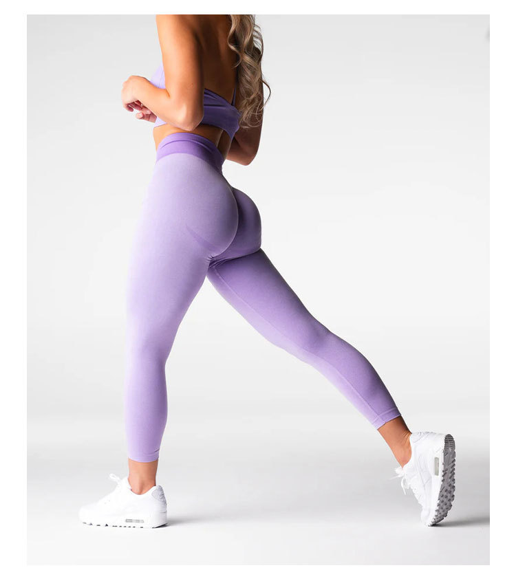 Seamless High Elasticity Butt-Lifting Yoga Pants LX8195