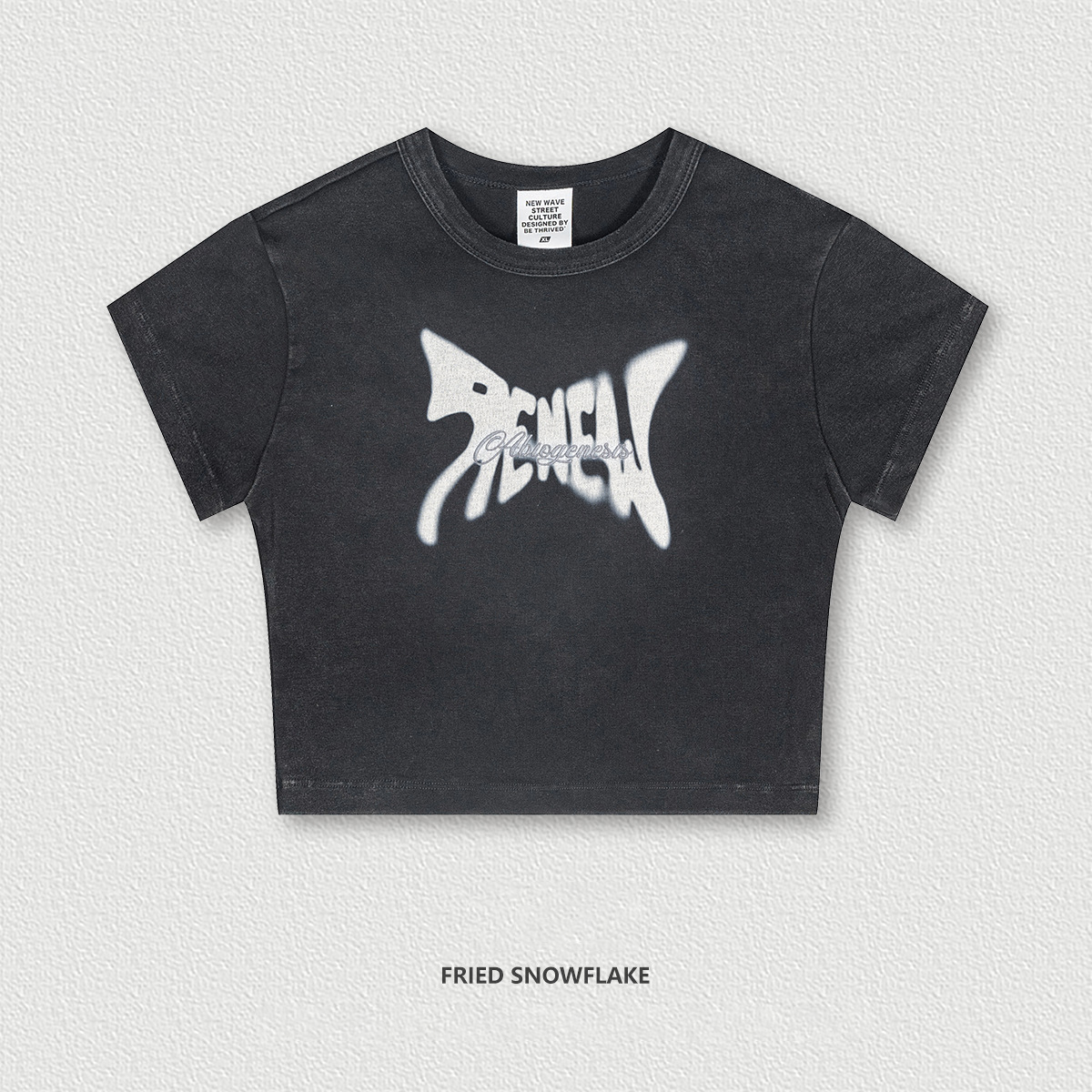 Regular Shoulder Washed Vintage Short Sleeve BE4246