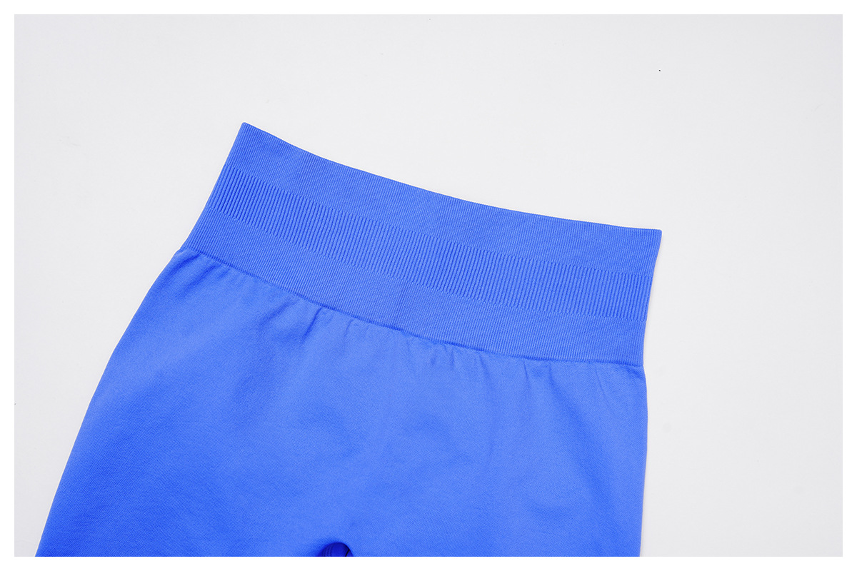 Seamless High-Waisted Tight Butt-Lifting Yoga Shorts 4513