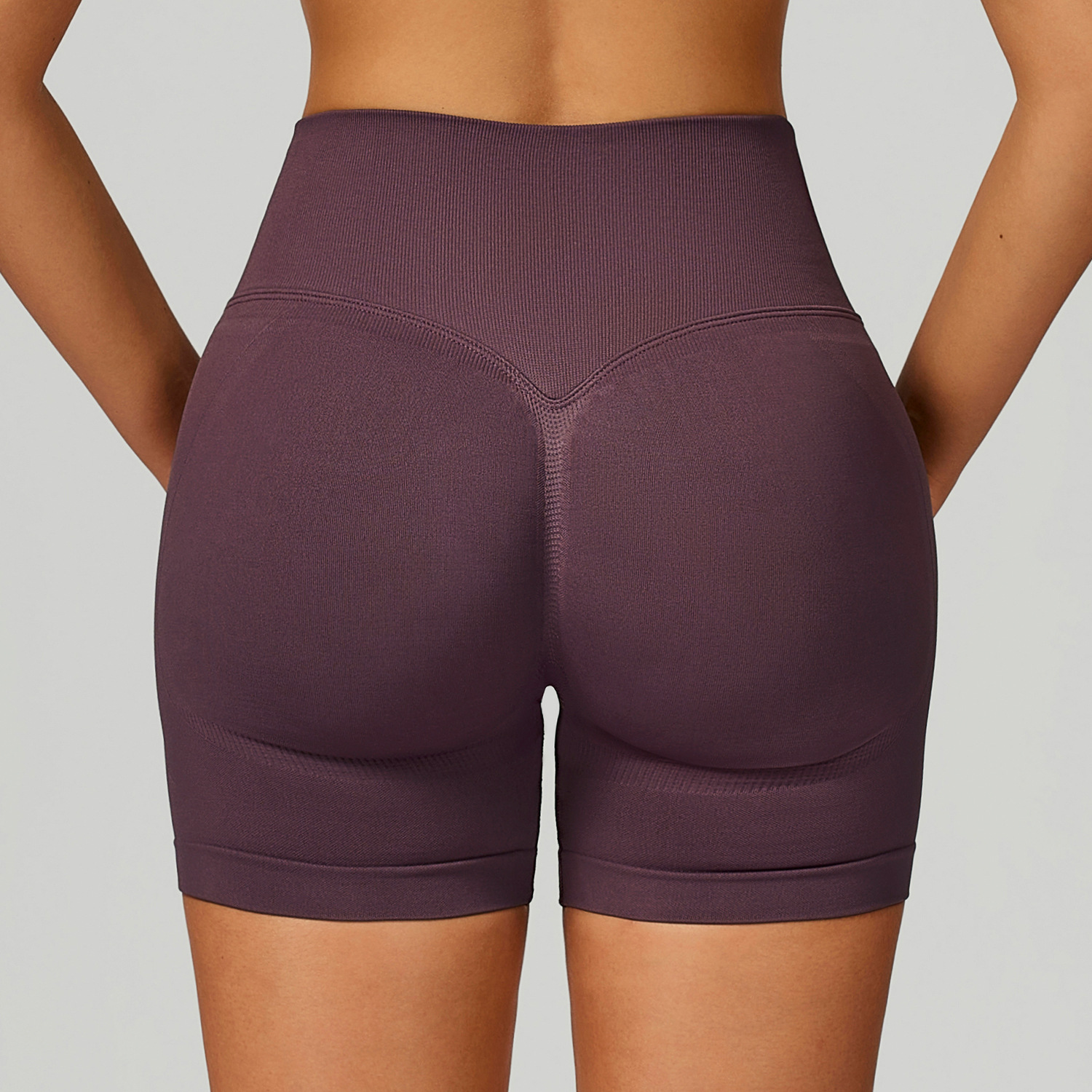 Seamless Color Block High-Waisted Yoga Shorts 9245
