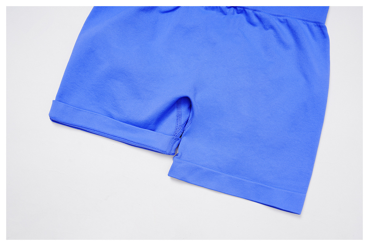 Seamless High-Waisted Tight Butt-Lifting Yoga Shorts 4513