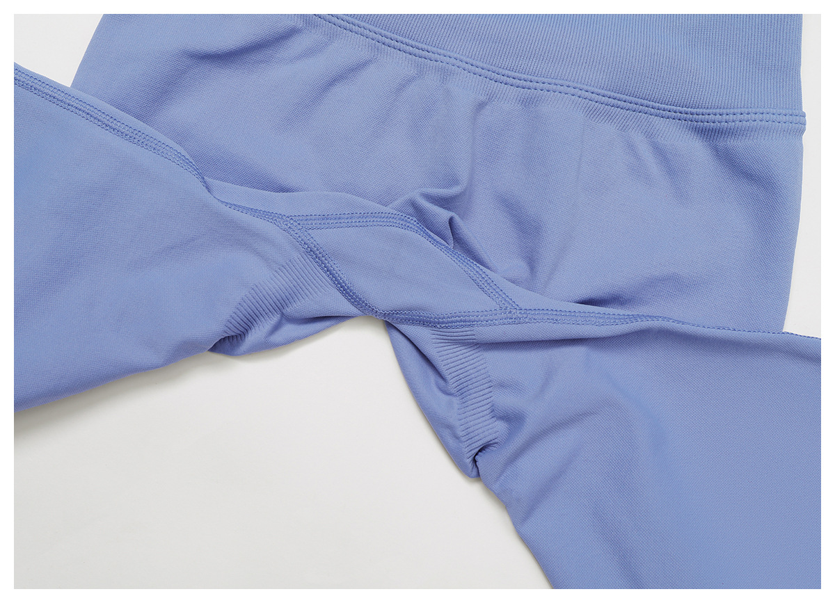 Seamless Color Block Yoga Pants 9245
