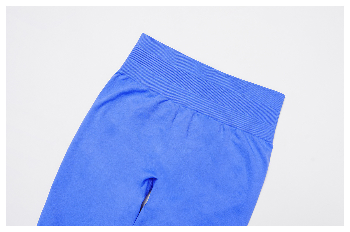 Seamless High-Waisted Tight Tummy-Control Yoga Pants 4513