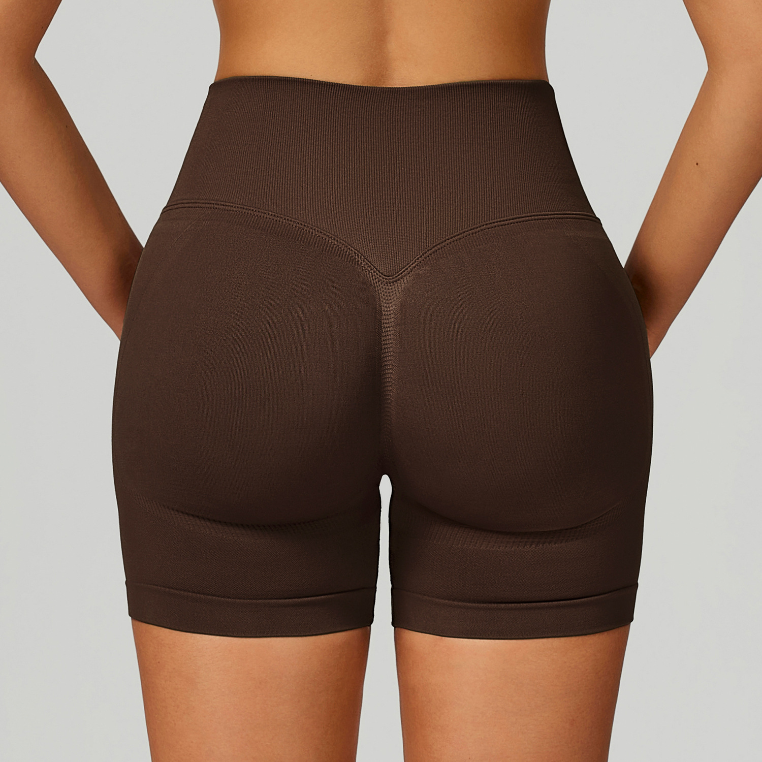 Seamless Color Block High-Waisted Yoga Shorts 9245