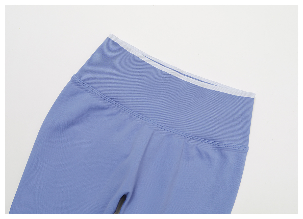 Seamless Color Block Yoga Pants 9245