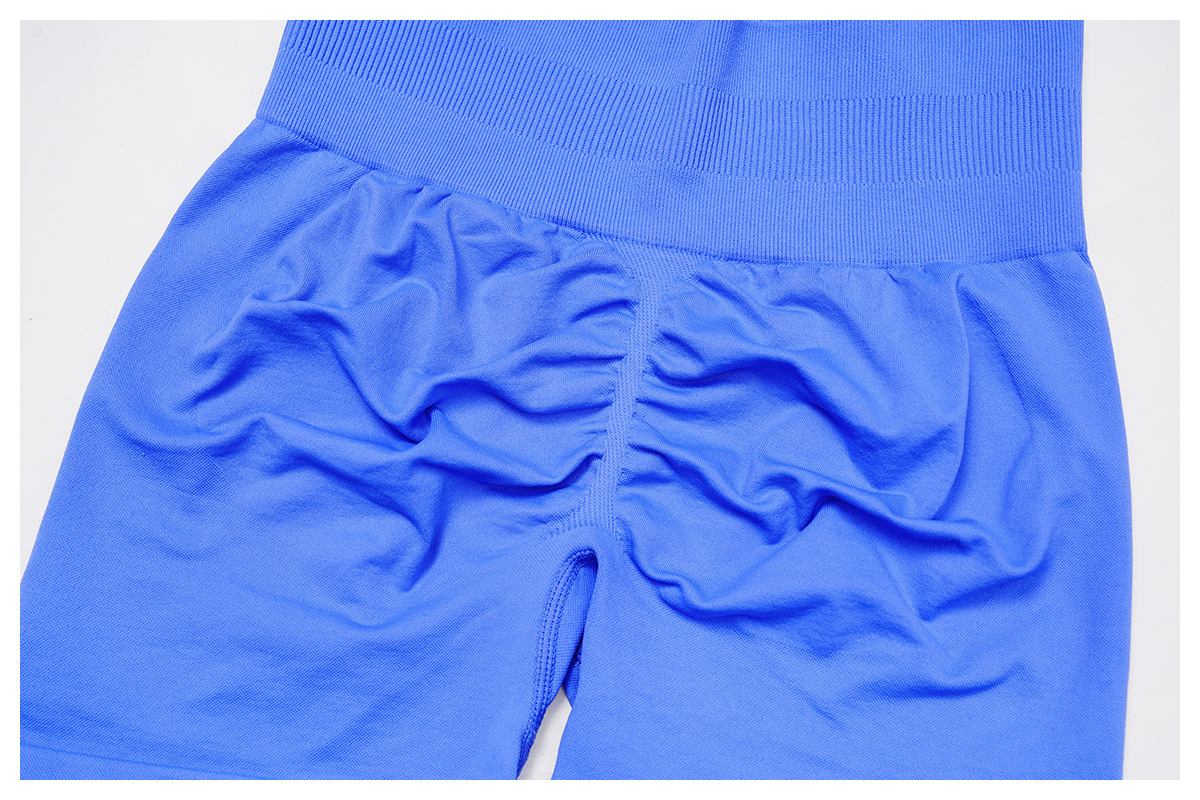 Seamless High-Waisted Tight Butt-Lifting Yoga Shorts 4513