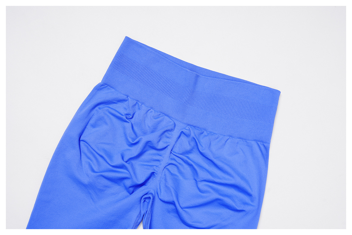 Seamless High-Waisted Tight Tummy-Control Yoga Pants 4513