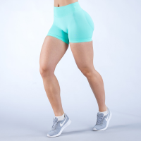 Seamless High Elasticity Butt-Lifting Yoga Shorts LX328A