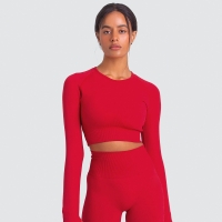 Solid-color Long-sleeved Yoga Clothes for Sports and Fitness 6095