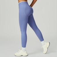 Seamless Color Block Yoga Pants 9245