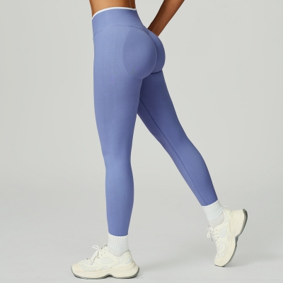 Seamless Color Block Yoga Pants 9245
