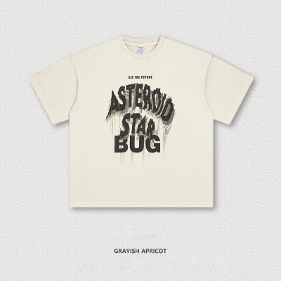 Letter Crewneck Washed Short Sleeve BE4143