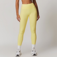 High-Waisted Tight Yoga Pants for Women 8863