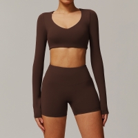 Quick Dry Tight Yoga Long-Sleeved top Set 9172