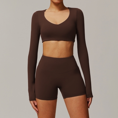 Quick Dry Tight Yoga Long-Sleeved top Set 9172