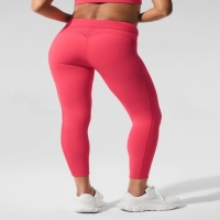 Colorblock High-Waisted Ankle-Length Fitness Training Pants SKL-FNK25138