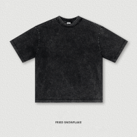 Loose Washed Vintage Distressed T-Shirt BES2528