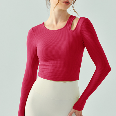 Ribbed Fitted Long-Sleeved Built-in Bra  Yoga Wear DSL679