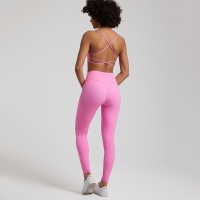 Halter Bra Vest Peach-shaped Buttocks Yoga Wear Shorts Set SKL-LQ3359