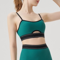 Halter Neck Open-Back Sports Bra SKL-QY-B4035