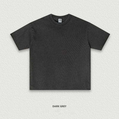 Frayed Loose Distressed Short Sleeve BES2591
