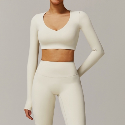 Soft Fabric Classic Long Sleeves Yoga Crop Yoga Top 9172