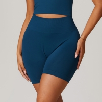 Seamless Hip-lifting High waisted Yoga Shorts 7725