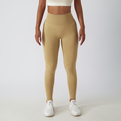 Butt Contour Seamless Yoga Leggings 6415