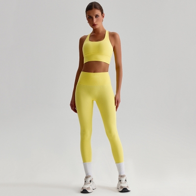 Fitness Sports Leggings And Crossed Beautiful Bra With Pads Set SKL-LQ8697