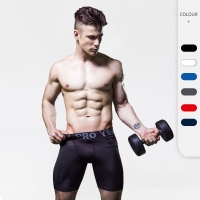 Men's Elastic Quick  Dry and Mesh Ventilated Athletic Shorts 1045