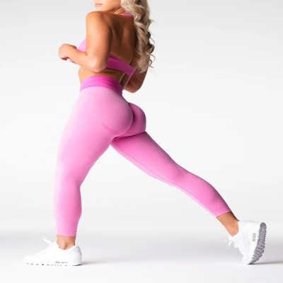 Seamless High Elasticity Butt-Lifting Yoga Pants LX8195