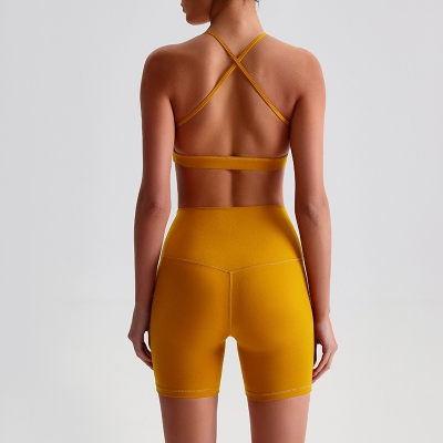 Fitness Sports Leggings And Crossed Beautiful Bra With Pads Set SKL-LQ0139