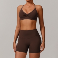 Quick Dry Tight Yoga Bra Set 9172