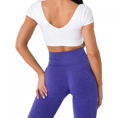 Seamless High Elasticity Sports Bra LX8121