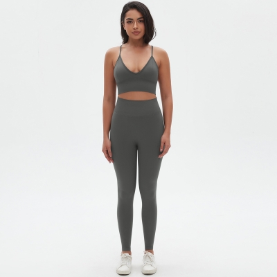  High-Waisted Hip-Lifting Tight Pants Bra Fitness Set 6666