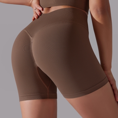 High-waisted Hip-lifting Seamless Quick-dry Tight Pants 6632