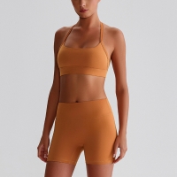 Halter Bra Vest Peach-shaped Buttocks Yoga Wear Shorts Set SKL-LQ0320