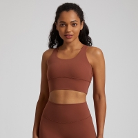  Yoga Vest Shock-Absorbing Tight Quick-Drying Fitness Bra SKL-LQ4027
