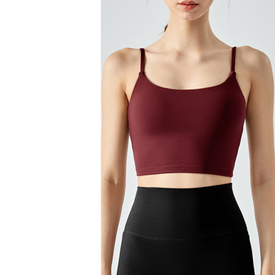  High Quality Yoga Back Support Bra DSB316 