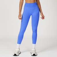 Seamless High-Waisted Tight Tummy-Control Yoga Pants 4513