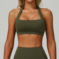 Halter Neck Backless Yoga Bra 3091