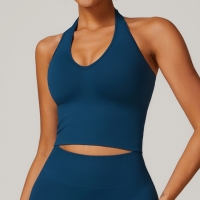 Shock Absorbing Seamless Yoga Bra with Neck Strap 7725